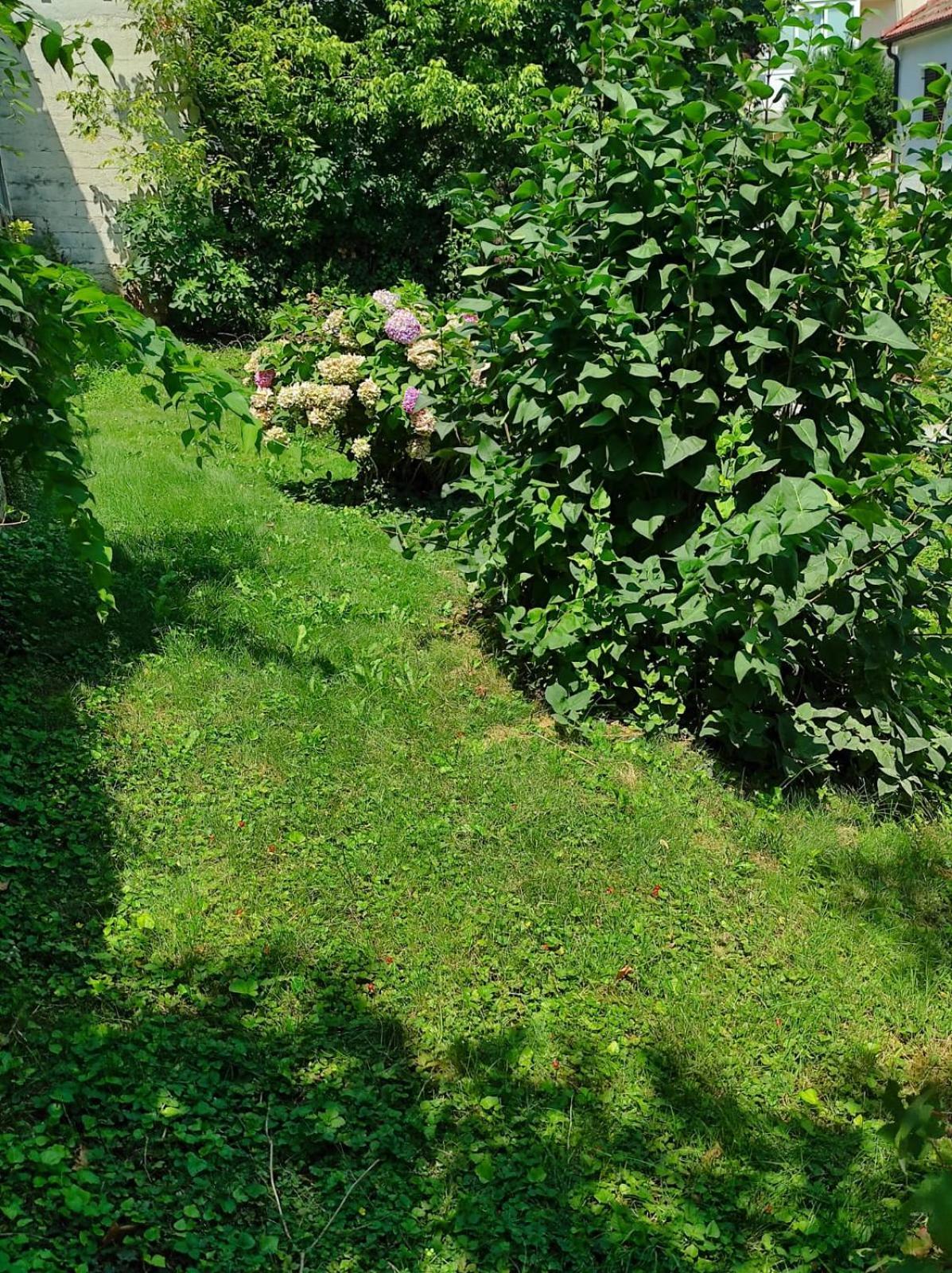 Apartman Zagreb,Rebro,Maksimir,Centar Marko Ngoại thất bức ảnh