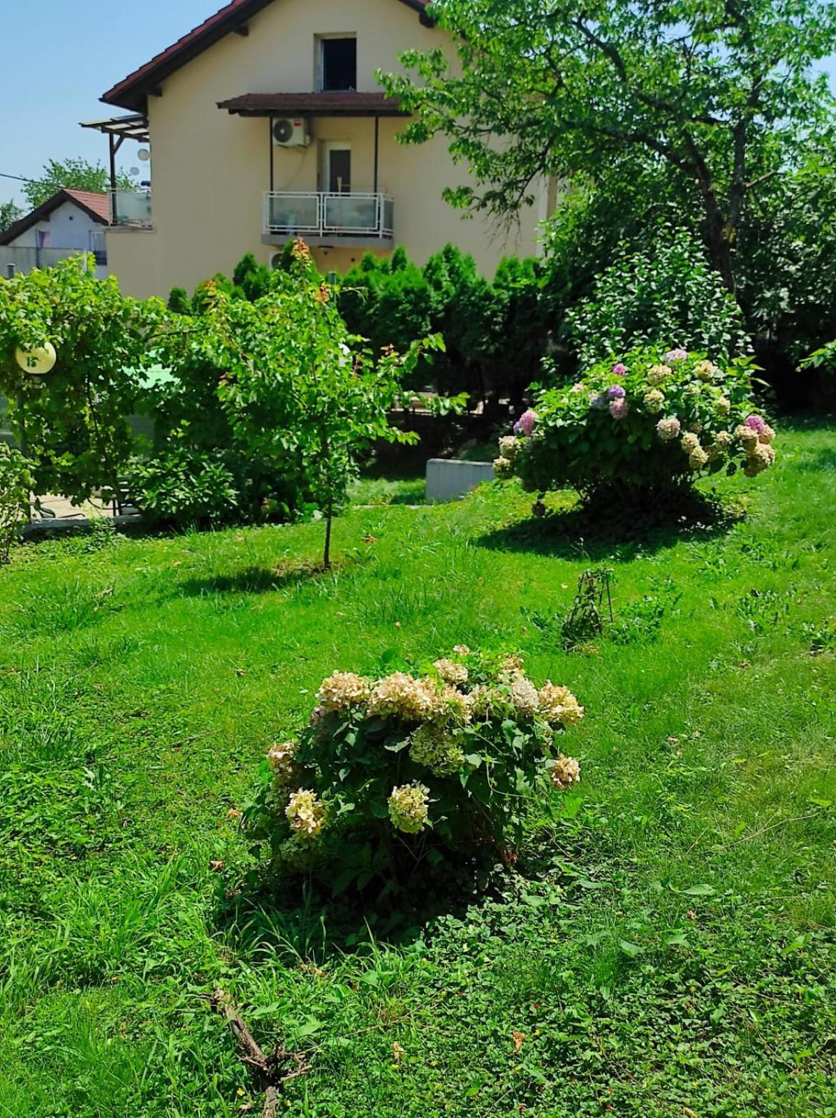 Apartman Zagreb,Rebro,Maksimir,Centar Marko Ngoại thất bức ảnh